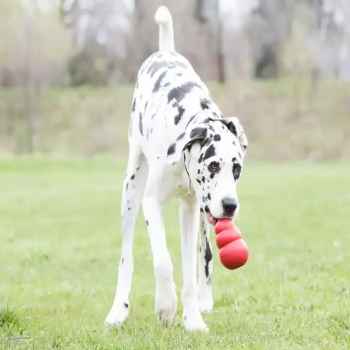 Nouveaux jouets classiques pour chiens Kong : jouet à mâcher en caoutchouc remplaçable avec remplissage de friandises