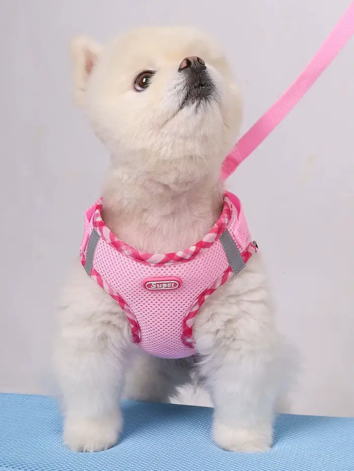 Harnais pour chien Supet 1 pièce