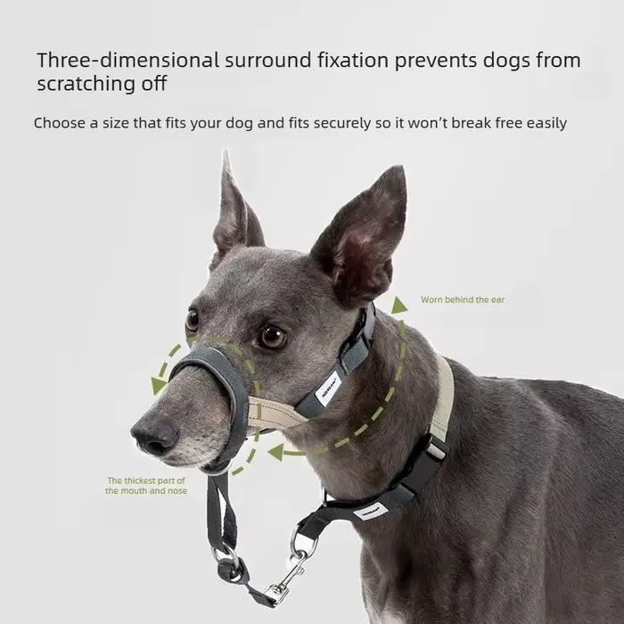 Muselière pour chien pour la traction et l'entraînement – Contrôle latéral ajustable