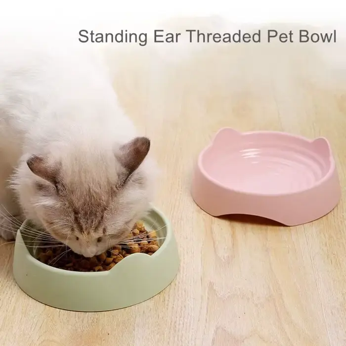 Filles d'Alimentation en Plastique de Grande Capacité pour Chat et Chien