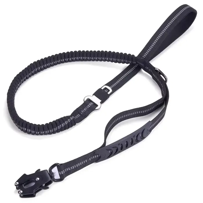 Laisse pour chien robuste avec élastique élastique pour chiens moyens et grands – Absorption des cho