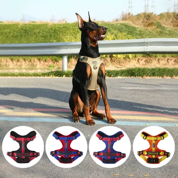 DobSuffolk-Collier de marche Pinscher SFP pour animaux de compagnie
