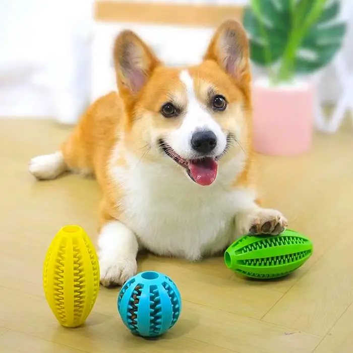 Jouets à mâcher pour chien, nettoyage des dents, boule de collation, en caoutchouc naturel, Super ré