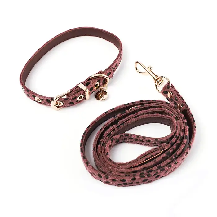 Collier en crin imprimé léopard pour animaux de compagnie, harnais de poitrine pour chien, ensemble 
