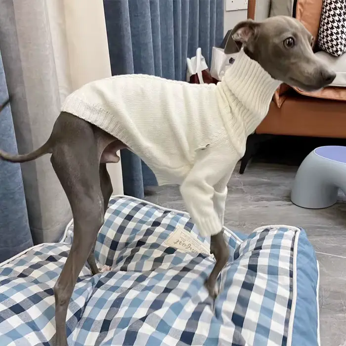 Pull lévrier italien Whippet col roulé pull tricoté blanc vêtements chauds pour animaux de compagnie