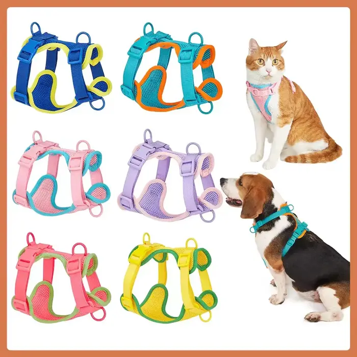 Harnais pour chien pour petits