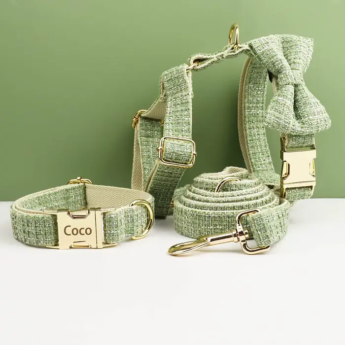 Ensemble collier et harnais vert citron pour chien avec plaque nominative gravée sur mesure