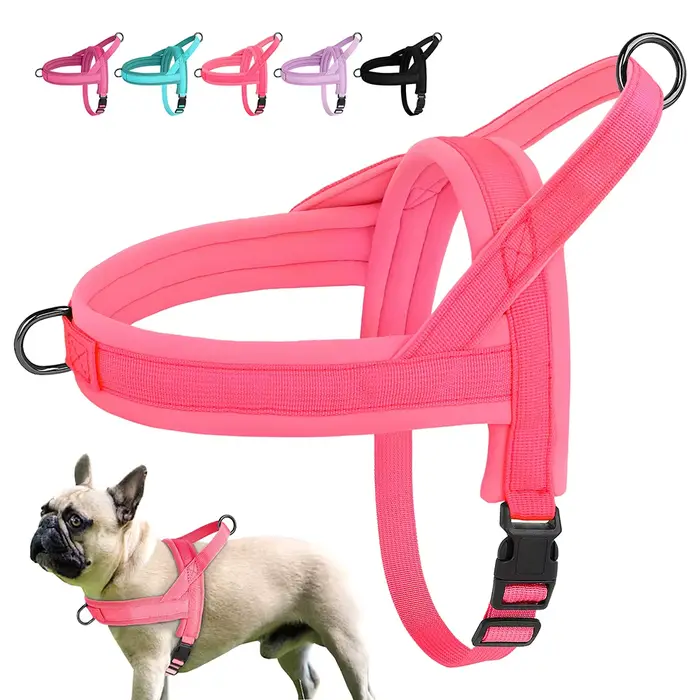 HarNISSAN-Chien rembourré SFP sans côtes, chien rembourré souple, chiot pour animal de compagnie dur