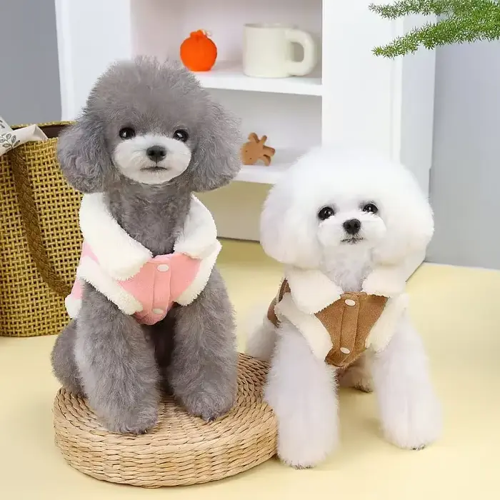 Veste d'hiver en coton pour chien, vêtements chauds pour petits et moyens chiens, manteau pour chiot