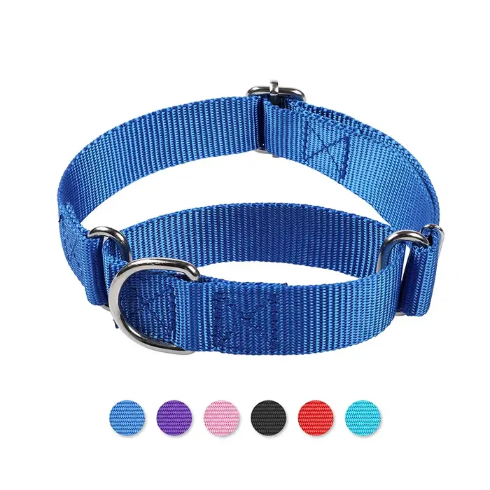 Collier Martingale pour chiens de petite à grande taille, collier d'entraînement réglable en nylon r