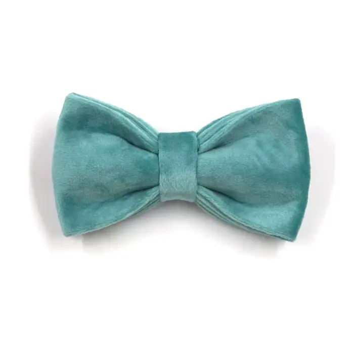 Collier de chien personnalisé Tiffany Blue SFP pour animal de compagnie, réglable, velours doux, des