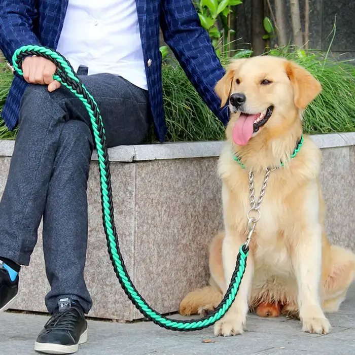 Corde à Double brin pour grands chiens, laisse en métal, boucle en chaîne P, contraste coloré, corde