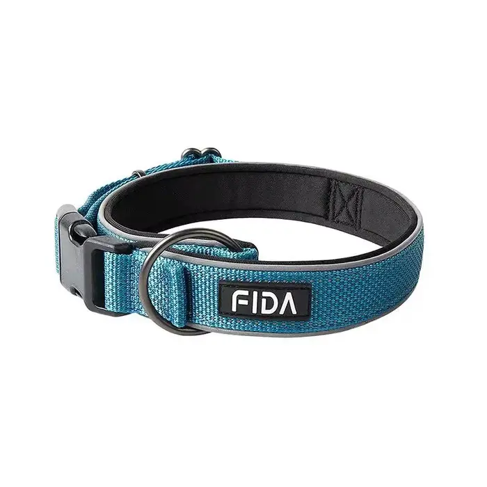 Grand collier pour chien