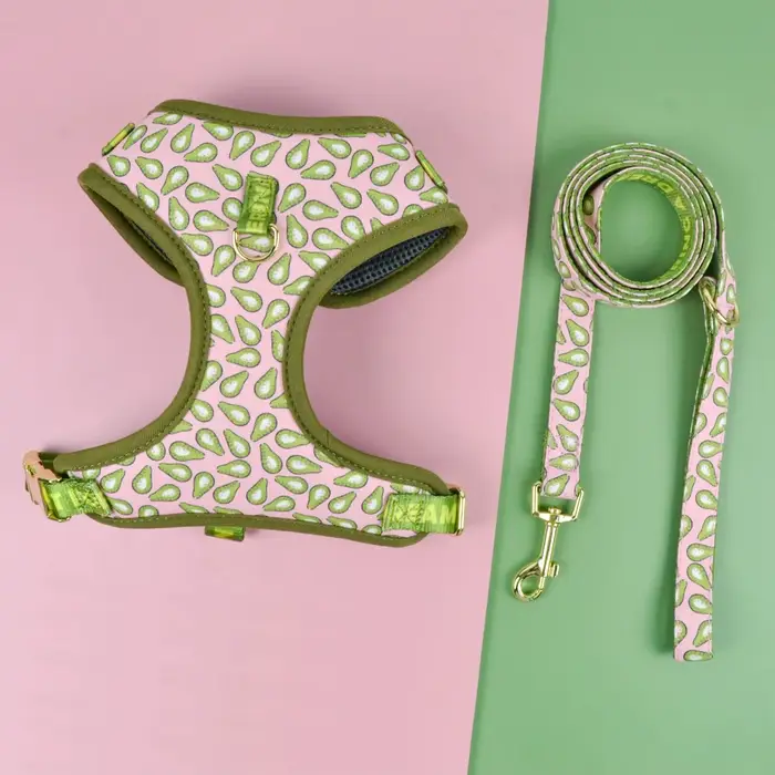 Harnais pour animaux de compagnie, cadeau de saint-valentin et du nouvel an, Design mignon, réglable