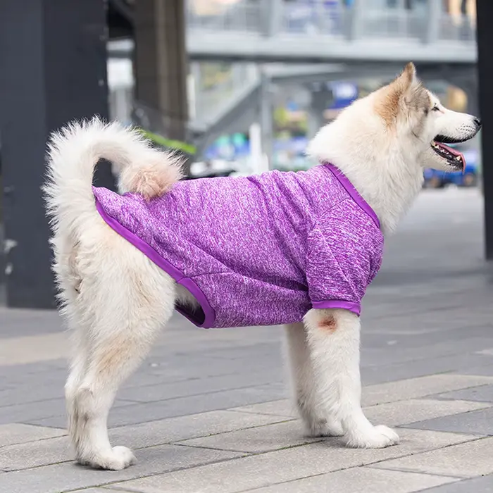 Sweat-shirt pour chien, pour animaux de compagnie moyens et grands, doré, Satsuma Huskies, frontière