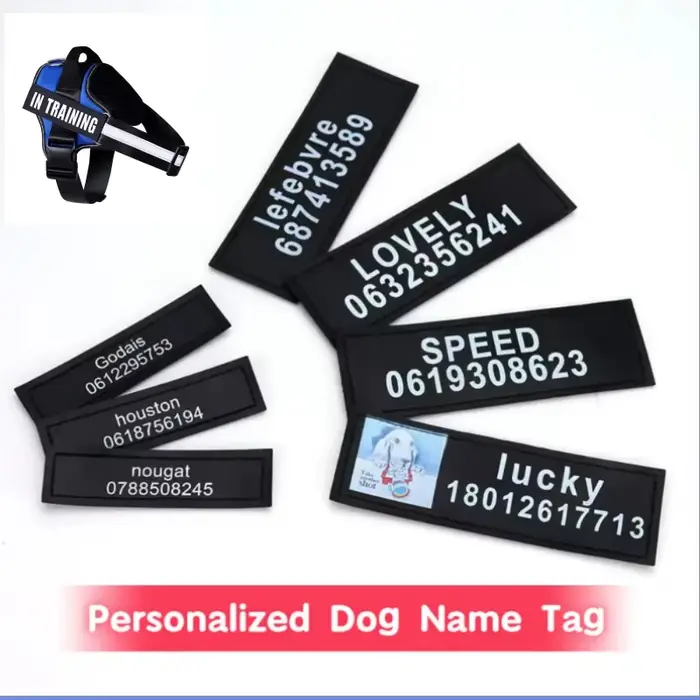 Étiquette autocollante réfléchissante avec nom de chien, 2 pièces, pour collier de harnais pour anim