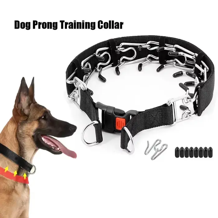 Collier d'entraînement pour chien, avec boucle à dégagement rapide et housse en Nylon, collier de pi