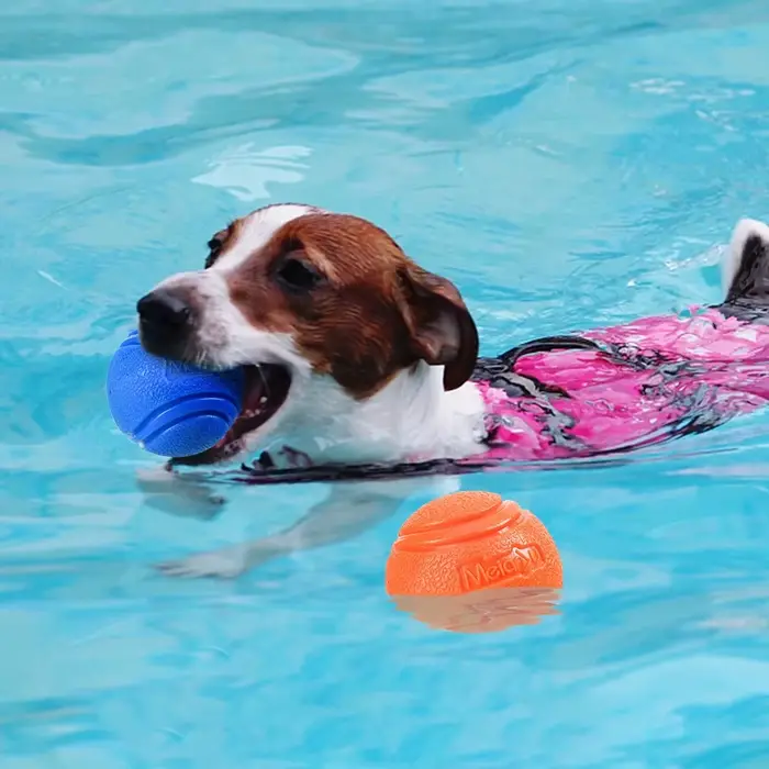 Jouets pour chiens de compagnie, balle gonflable en caoutchouc solide, résistance aux jouets à mâche