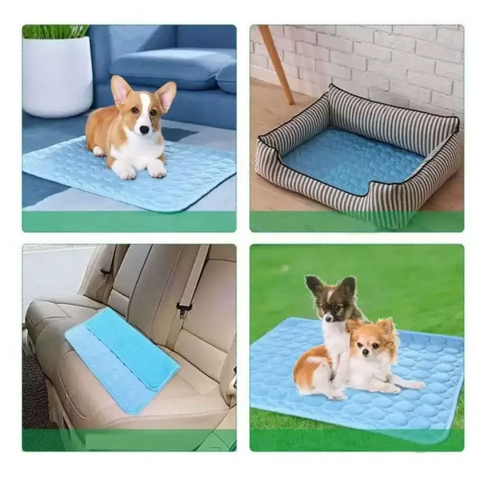 Tapis rafraîchissant pour chien