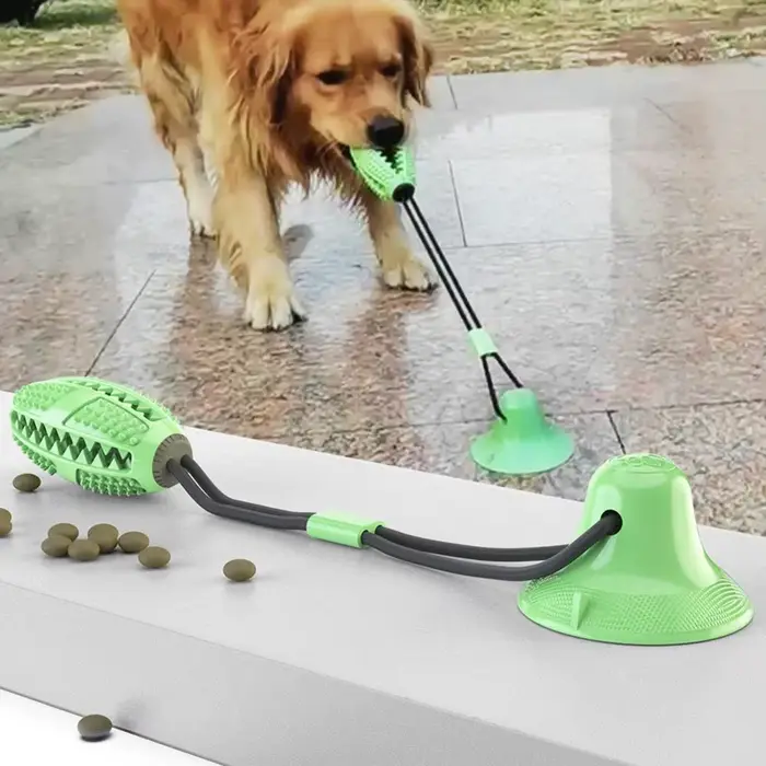 Jouets à mâcher pour chiens