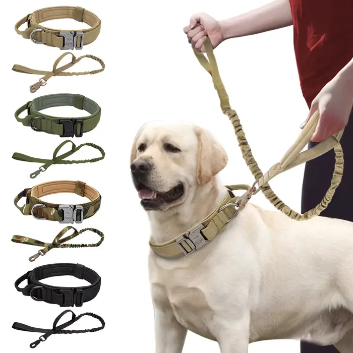 Collier tactique militaire pour chien solide