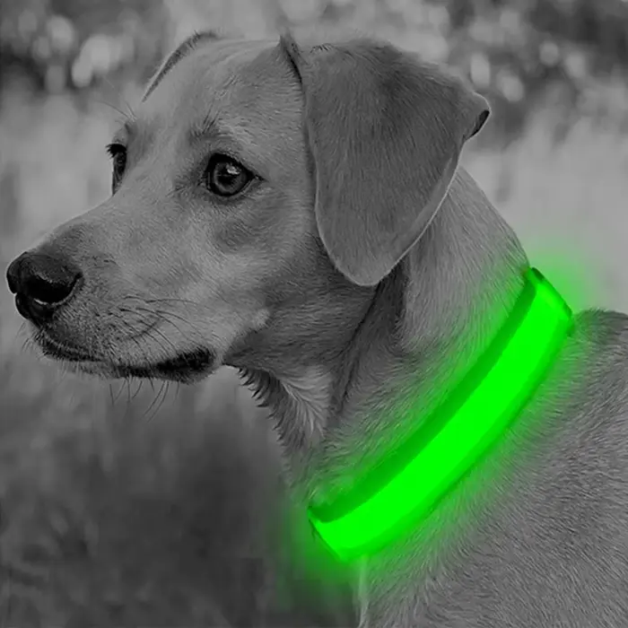 Collier lumineux LED réglable pour chien, Recharge USB, clignotant, Anti-perte/éviter les accidents 