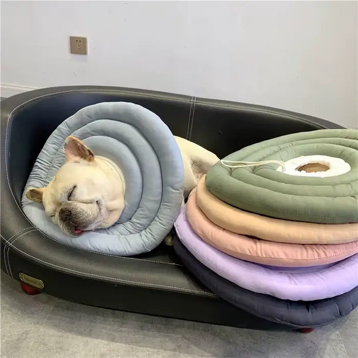 Collier élisabéthain pour chiens