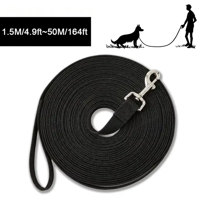 Laisse d'entraînement extra longue pour chien