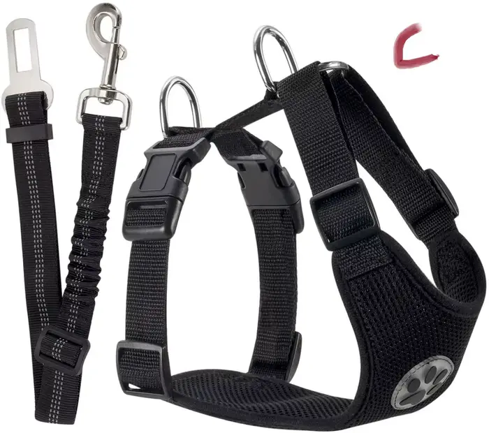 Ensemble de ceinture de sécurité pour harnais de voiture pour chien, harnais de gilet pour chien rég