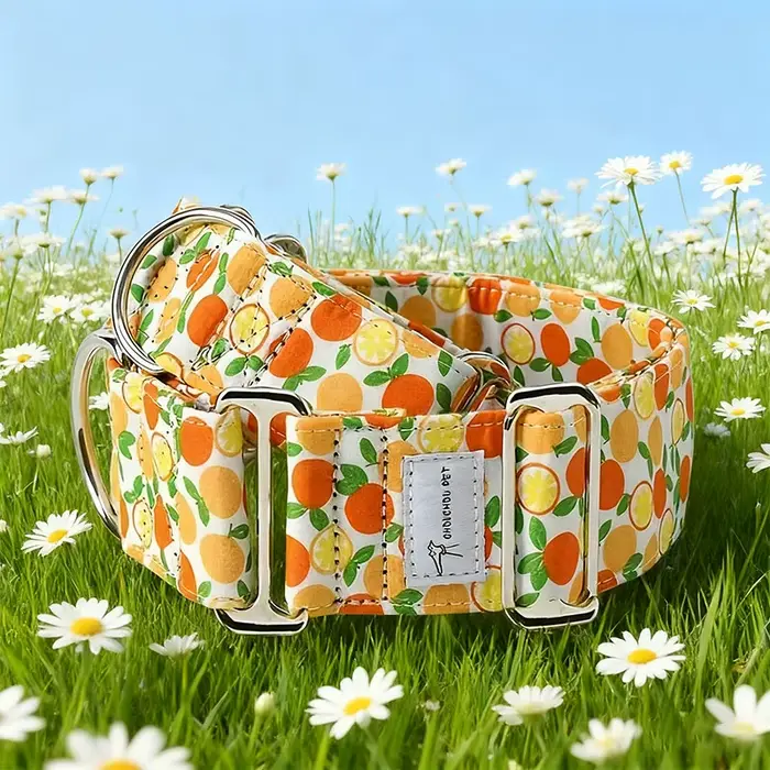 Martinagle Collier pour chien large et réglable