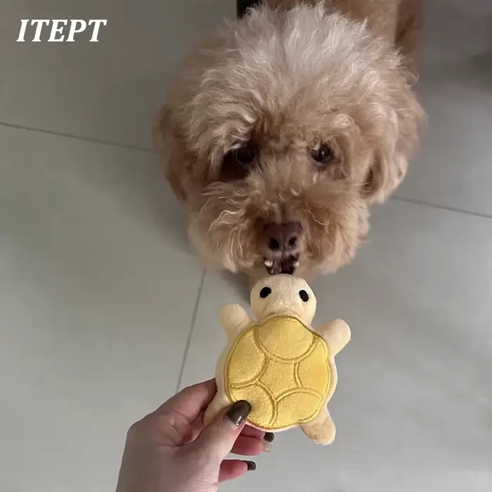 Jouet pour chien, Mini tortue en peluche