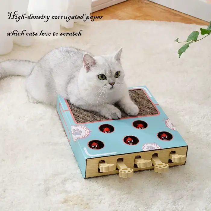 Boîte de jeu interactive 3-en-1 pour chaton d'intérieur : Jouet Whack-A-Mole