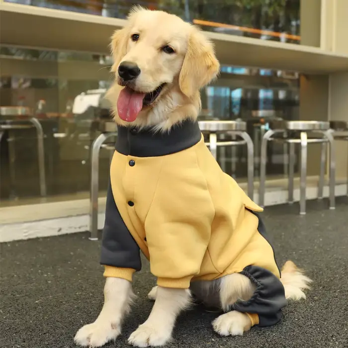 HOOPET sport chien veste quatre pieds vêtements pour chiens Labrador Retriever Golden