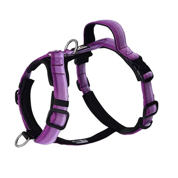 Harnais pour chien anti-traction premium à dégradé de couleurs, réglable, anti-évasion, ultra confor