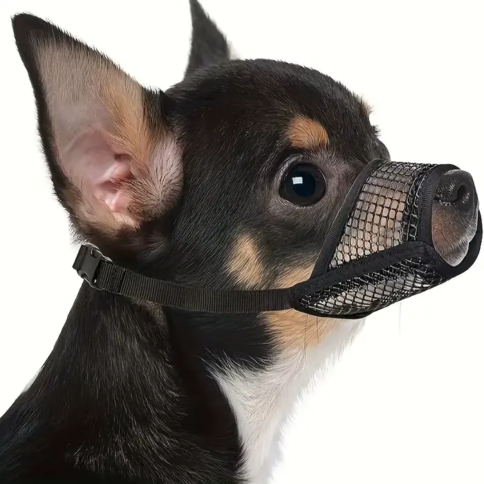 Muselière en maille pour museau court et petits chiens moyens, Anti-morsure, concentré sur les chien