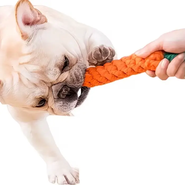 Jouet pour chien en forme de carotte résistant aux morsures avec nœud en corde - Jouet à mâcher interactif pour chiens de taille moyenne
