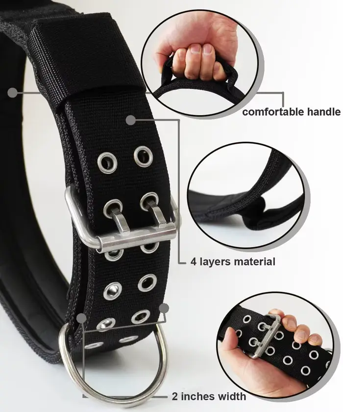 Collier tactique réglable pour chien