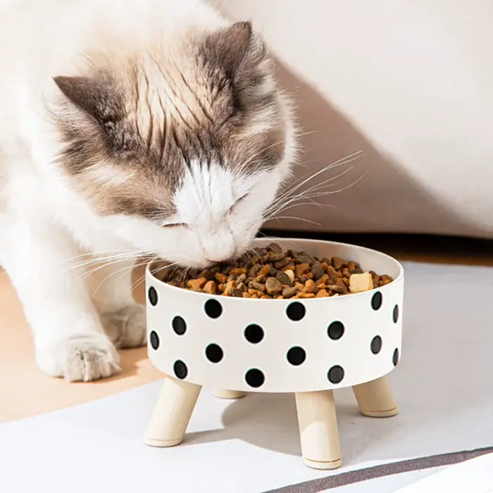 Bol en plastique pour chat et chien avec motif damier à pois, antidérapant et facile à nettoyer