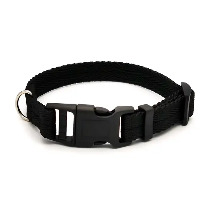 Collier pour chien de compagnie couleur unie colliers pour chiots chiens moyens rapidement désactivé