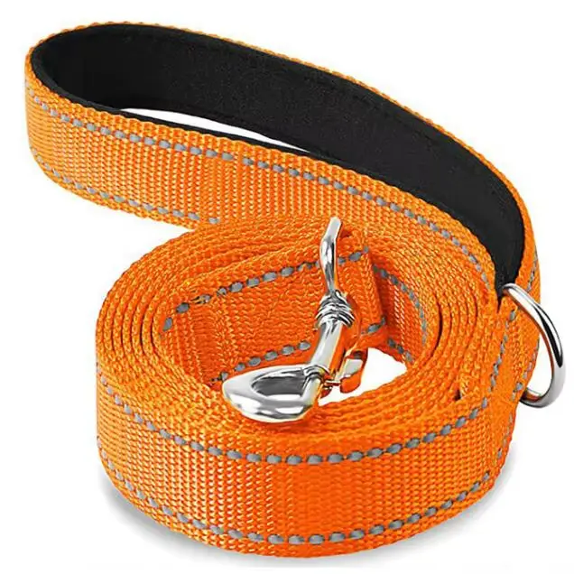 Laisse d'entraînement pour chien Petra pour chiens de petite à moyenne taille, 4 pieds/6 pieds de lo