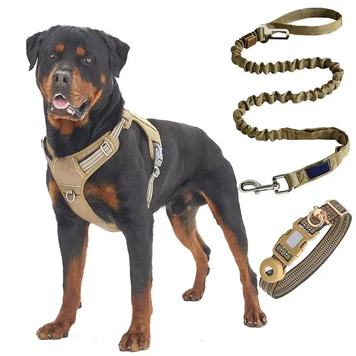 Ensemble de harnais tactique pour chien Direct d'usine: laisse et collier d'entraînement multifoncti