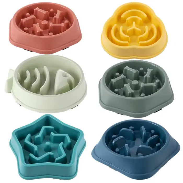 Bol de nourriture lente pour chien et chat