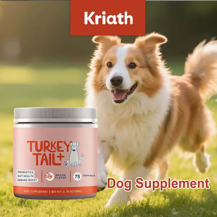 Poudre Probiotique Canine Soutien Santé Intestinale Amélioration du Bien-être Digestif Renforce la D
