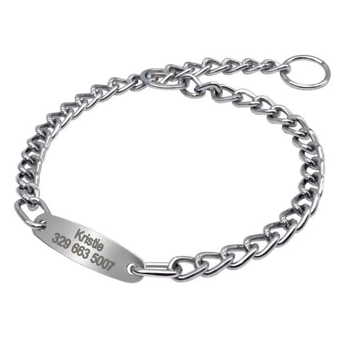 Collier ras du cou personnalisé pour chien, chaîne pour animaux de compagnie, entraînement, identifi
