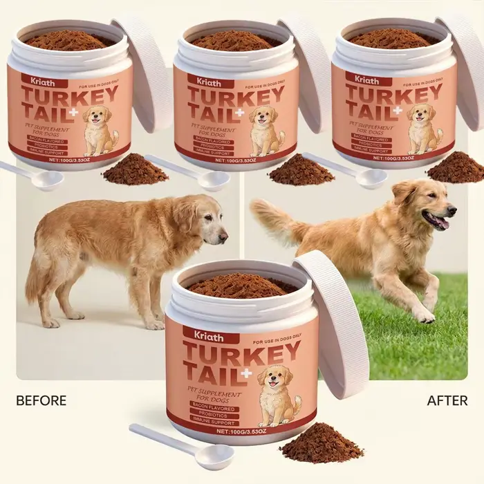 Complément alimentaire pour animaux de compagnie aromatisé au bacon 100g, entretien des chiens âgés,
