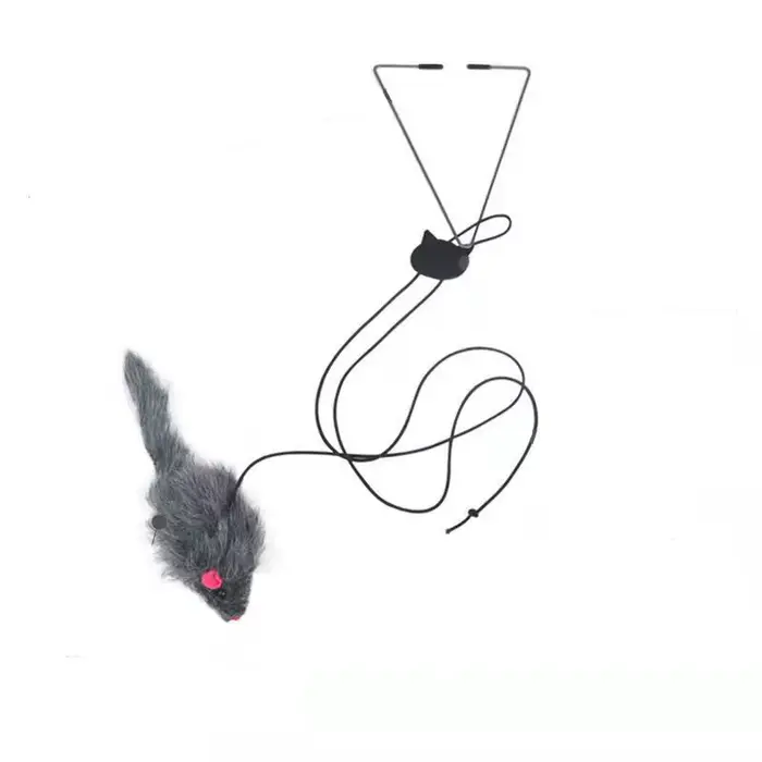 Nouveau Jouet suspendu pour chat, soulage le Stress, jouet suspendu pour salon, chaton suspendu, nou