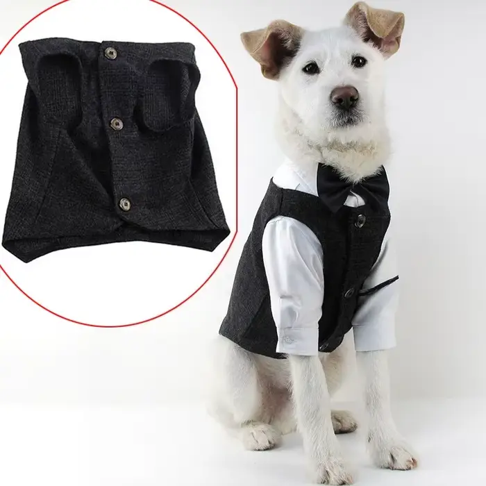 Manteau pour chien taureau français