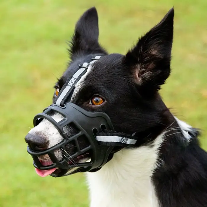 Muselière réglable pour chien, couvre-bouche Anti-morsure avec bande réfléchissante, peut boire de l