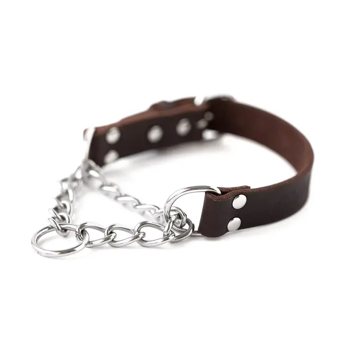 Collier de chien Martingale collier d'entraînement en acier inoxydable chaîne limitée Cinch formatio