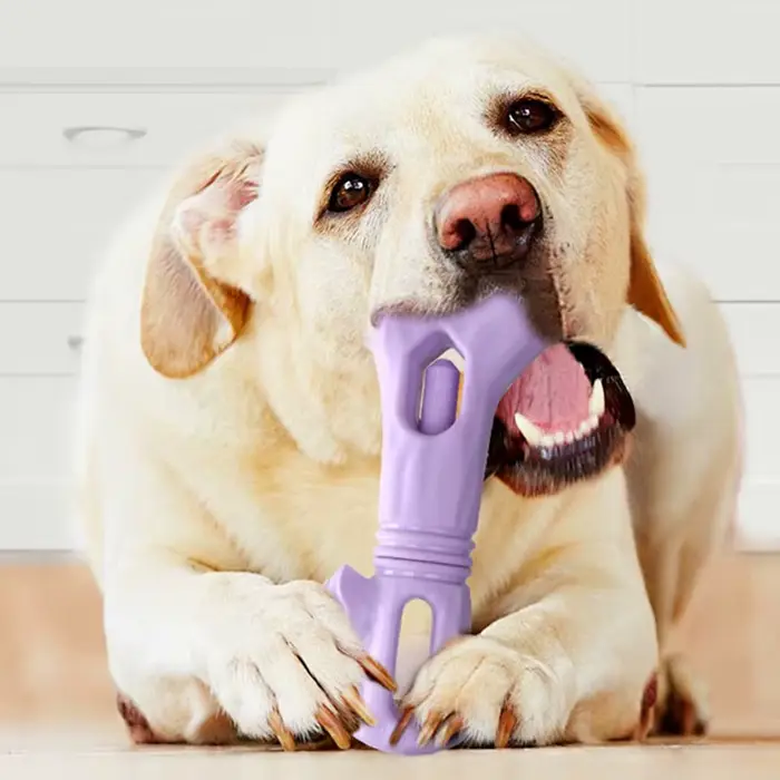 Jouets durables pour chiens en forme de branche